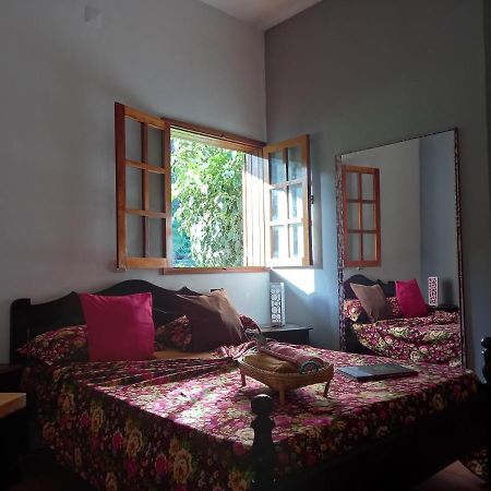 Ribeira Grande Divin'Art Bed & Breakfast エクステリア 写真