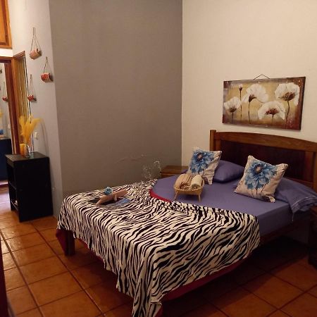 Ribeira Grande Divin'Art Bed & Breakfast エクステリア 写真