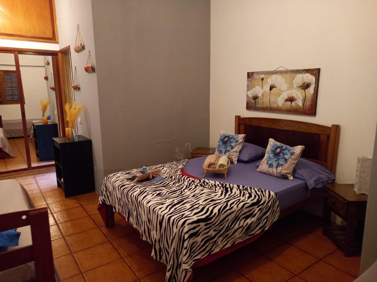 Ribeira Grande Divin'Art Bed & Breakfast エクステリア 写真
